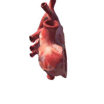 prefab open heart 8k
